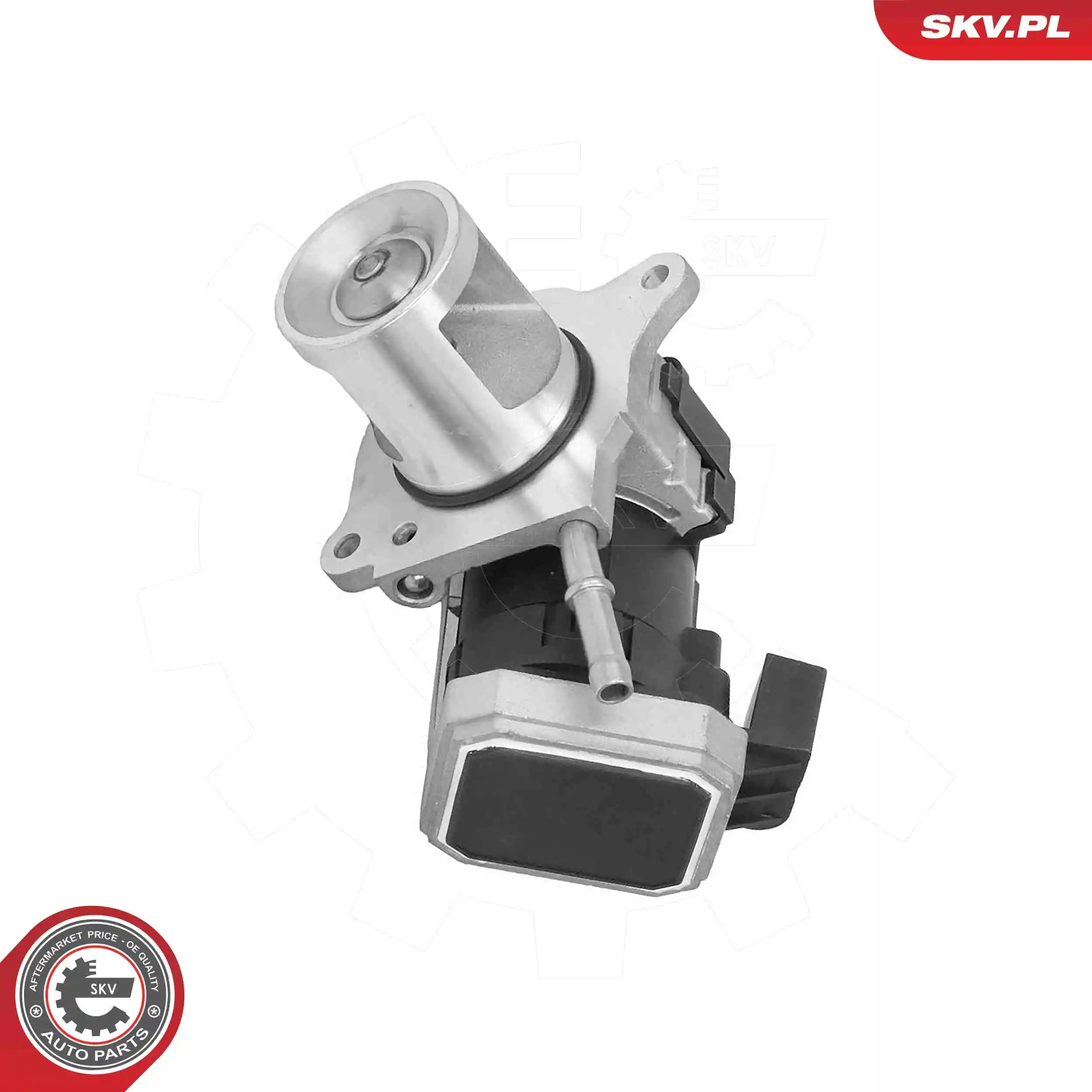 EGR Valve